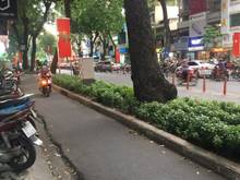 Hình ảnh Bán nhà Ni sư huỳnh liên, phường 10, quận Tân Bình