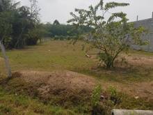 Hình ảnh Cần bán đất 1/ đường Trương Thị Kiện - xã Thái Mỹ - Củ Chi