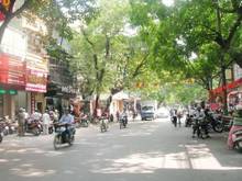 Hình ảnh Cho thuê mặt tiền Trần Quang Khải Quận 1 đoạn đẹp 6x23 Tret 1 Lau