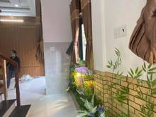 Hình ảnh Bán Nhà Mặt tiền đường Phổ Quang P.2 Q.Tân Bình