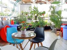 Hình ảnh Hẻm xe hơi Âu Cơ P.10 Q.Tân Bình