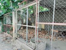 Hình ảnh Chính chủ cần bán 205m2 full thổ cư xã Phú Hữu giá rẻ