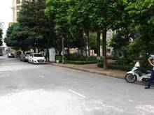 Hình ảnh Cho thuê biệt thự đủ đồ KĐT Mỹ Đình 2 để làm văn phòng, gia đình ở