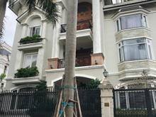 Hình ảnh Chính Chủ Cần Bán Nhà 33 Mai Thị Lựu, Quận 1, DT:9.5x28m, Giá:91 Tỷ.