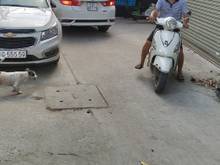 Hình ảnh Bán Nhà Mặt tiền Đường nội bộ Âu Cơ P.9 Q.Tân Bình