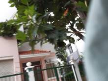 Hình ảnh Cần cho thuê căn biệt thự Phú Mỹ, nhà cực đẹp, nội thất đầy đủ.