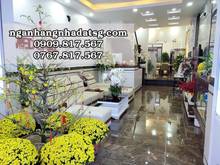 Hình ảnh Bán nhà Khuông Việt,Q Tân Phú 76m2 HXH,6PN chỉ 10 tỷ 200.