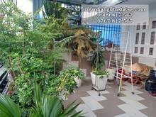 Hình ảnh Bán nhà Nguyễn Thượng Hiền, P5 Phú Nhuận, 45m2,ngang 4.5m,4 PN, HXH