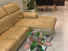 Hình ảnh Cho thuê Trang Chủ MB66.COM / Đăng Ký Tặng 66K Q4 DT 90m2 view Bitexco full đồ 22Triệu/tháng