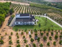 Hình ảnh Bán đất 80 triệu/xào (1.000m2) sổ đỏ trao tay,an toàn sở hữu
