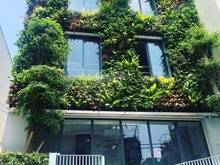 Hình ảnh Nhà mới 100% DT (4.2x22m) hầm 6L thang máy mặt tiền Trần Bình Trọng