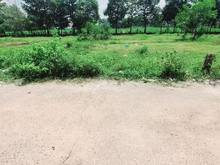 Hình ảnh Bán gấp 500m2 đường ô tô xã Phú Đông cách Cát Lái 5 phút