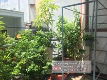Hình ảnh Bán nhà Cô Giang,3PN,56m2, chỉ 6 tỷ Hướng Đông Nam.