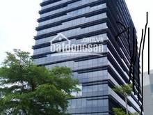 Hình ảnh Building Cộng Hòa siêu lớn, MT 10x33m hầm 10 lầu, HĐT 250tr/th