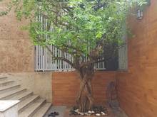 Hình ảnh Nhà Hot Giá Rẻ MT 173 NKKN, Quận 3, DT: 22x48m, Giá: 550 Tỷ.
