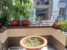Hình ảnh Chính chủ bán gấp nhà 3 lầu Hẻm xe hơi Phan Sào Nam P.11 Q.Tân Bình