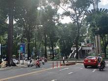 Hình ảnh Cho thuê Nhà nguyên căn Mặt tiền Đường Tôn Thất Đạm, P.Bến Nghé, Q.1.