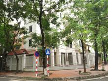 Hình ảnh Cho thuê biệt thự 350m2 mặt phố Mỗ Lao làm MB66 là nhà cái uy tín hàng đầu tại Việt Nam, nhà hàng, spa