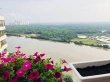 Hình ảnh Định cư mỹ ko về được cho thuê  Riverpark Premier, Phú Mỹ Hưng quận 7