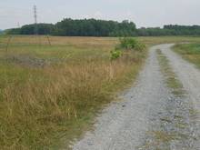 Hình ảnh MT sông làm nhà vườn liền kề siêu dự án Phú Mỹ Hưng, giá ngộp 1,1tr/m