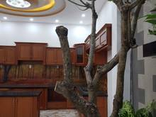 Hình ảnh Bán nhà HXH 6m Trương Công Định (4x25m) 4 tầng đẹp mê man, cách MT 10m