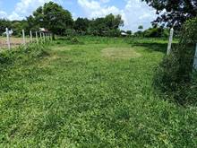 Hình ảnh Cần bán đất vườn xã An Phú - Củ Chi