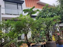 Hình ảnh Bán gấp nhà Phạm Văn Đồng 378m2,15x 25m, Giá chỉ 50 triệu/m2