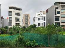 Hình ảnh Bán đất đấu giá 112,2m2 - thôn Vàng - Cổ Bi tiềm năng phát triển