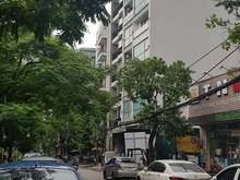 Hình ảnh Bán nhà Dịch Vọng, Trần Thái Tông, Cầu Giấy 223m, mt 10,5m giá 12.6 tỷ