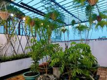 Hình ảnh Bán nhà Âu Cơ, Tân Bình, dt 40m2, ngang 5m , giá chỉ 3.85 tỷ