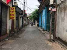 Hình ảnh Bán gấp 45m đất tại ngõ 80 Hoa Lâm, Việt Hưng, Long Biên
