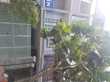 Hình ảnh cho thuê nhà đường Hoa Lan 4x18,8m