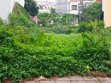 Hình ảnh Bán nhanh mảnh đất 79m2 khu tái định cư xóm Lò, Thượng Thanh, Long Biê
