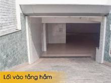 Hình ảnh cho thuê biệt thự đường D2 8x17m