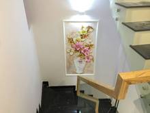 Hình ảnh Bán Tòa Nhà 6 Lầu MT Trần Quốc Hoàn, Q.Tân Bình, DT:4.5x25m, Giá:26.5