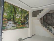 Hình ảnh Nhà gần chợ Bình Chánh 1 trệt 1 lầu chỉ 850tr