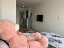 Hình ảnh Tân hội đường Hồng hà  quận Tân Bình full nội thất  35m2