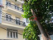 Hình ảnh Cho thuê nhà đường Hoàng Hoa Thám Quận Tân Bình 7x17m