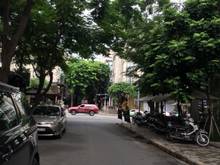 Hình ảnh Giảm mạnh giá thuê nguyên căn có thang máy khu Hưng Phước, Phú Mỹ Hưng