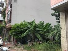 Hình ảnh Bán lô đất 60m2 còn sót khu TĐC Trâu Quỳ, Gia Lâm
