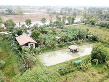 Hình ảnh Bán rẻ miếng đất làm nhà vườn,420m2 giá 730 triệu