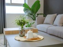 Hình ảnh Đang cần cho thuê chung cư tại dự án Sunrise City View, Q7