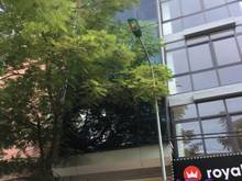 Hình ảnh Cho thuê nhà phố Trung Hòa, Cầu Giấy. Dt 130m 5 tầng,Giá 95tr