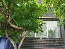 Hình ảnh Cho thuê nhà mặt tiền đường Hoa Cúc quận Phú Nhuận 4x16m