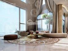Hình ảnh Chính chủ, biệt thự trên không Sky Garden, 4PN 4WC, 2 lầu 1 sảnh