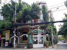 Hình ảnh Cho thuê nhà MT đường Nguyễn Minh Hoàng quận Tân Bình 12x23m