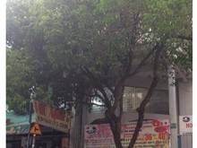 Hình ảnh Cho thuê nhà đường Bàu Cát 3 quận Tân Bình 4x16m