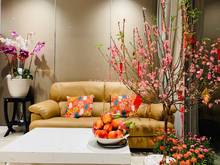 Hình ảnh Đang cần cho thuê CHCC The Golden Star, đường Nguyễn Thị Thập