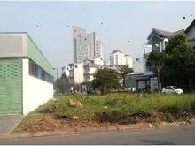 Hình ảnh Cho thuê đất trống đường Nguyễn Thanh Sơn - Diện tích 15x20m