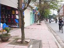 Hình ảnh Mặt Phố Vũ Xuân Thiều, 2mặt tiền,Vỉa hè 2 bên, kinh doanh